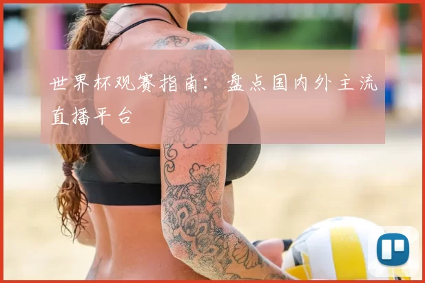 世界杯观赛指南:盘点国内外主流直播平台