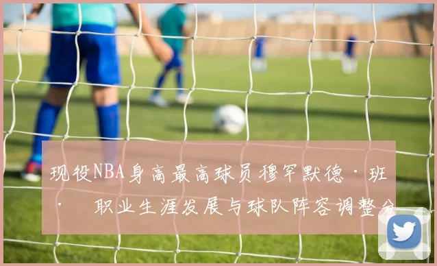 现役NBA身高最高球员穆罕默德·班巴职业生涯发展与球队阵容调整分析