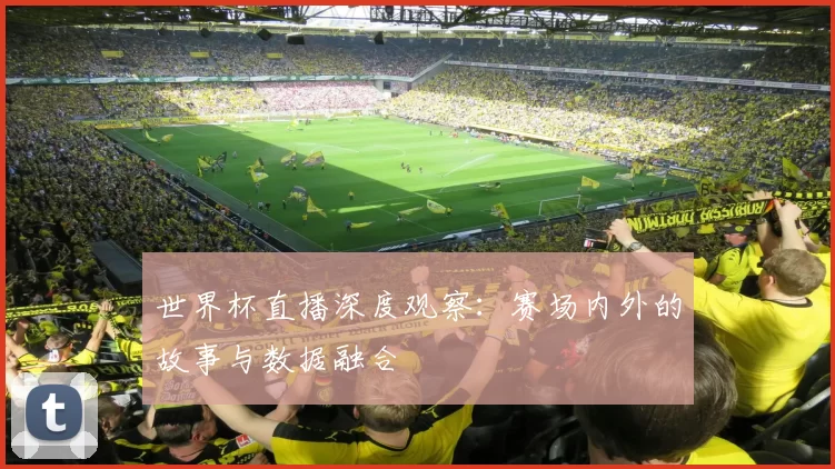 世界杯直播深度观察:赛场内外的故事与数据融合