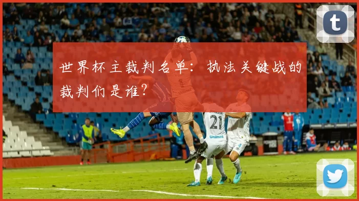 世界杯主裁判名单:执法关键战的裁判们是谁?