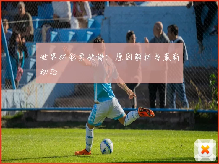 世界杯彩票被停:原因解析与最新动态