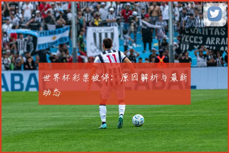 世界杯彩票被停：原因解析与最新动态