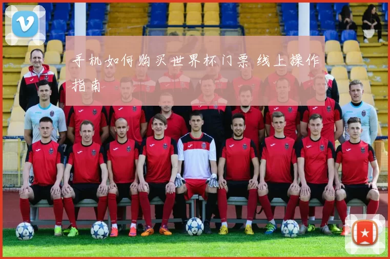 手机如何购买世界杯门票 线上操作指南