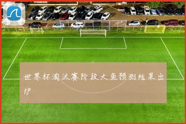 世界杯淘汰赛阶段大鱼预测结果出炉