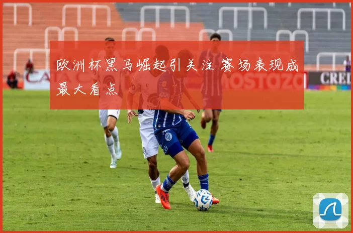 欧洲杯黑马崛起引关注 赛场表现成最大看点