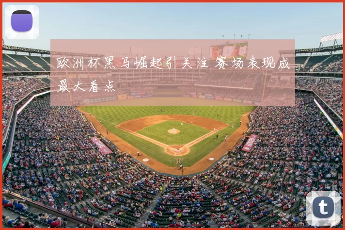 欧洲杯黑马崛起引关注 赛场表现成最大看点