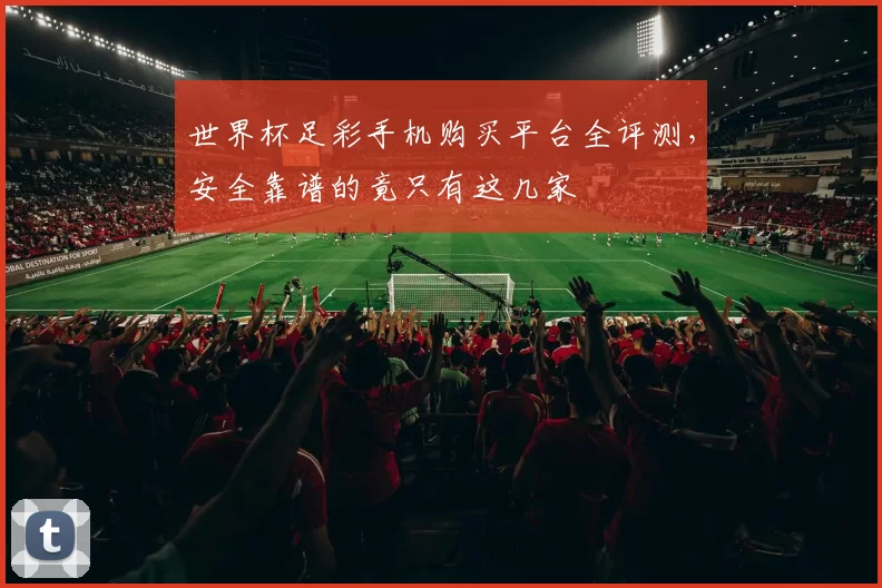 世界杯足彩手机购买平台全评测,安全靠谱的竟只有这几家